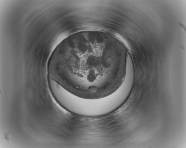 X0000097751095200803211646