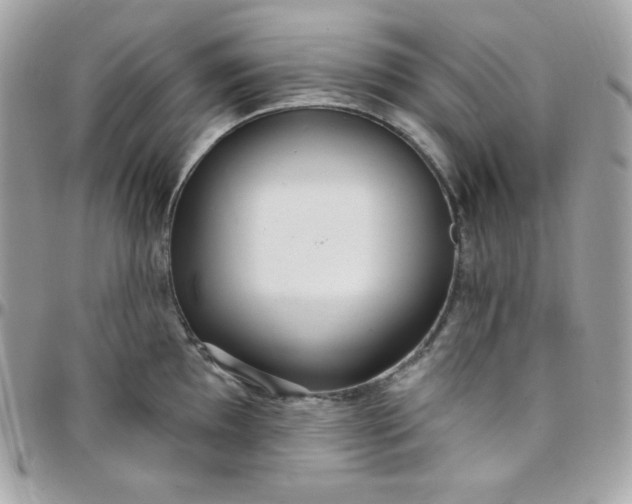 X0000097751097200803211646