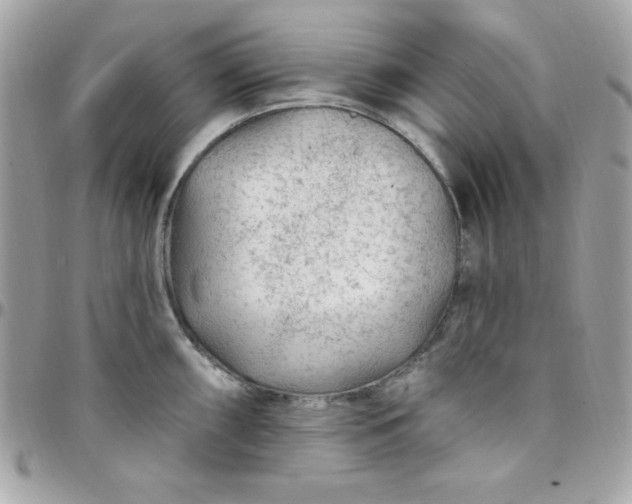 X0000097751098200803211646