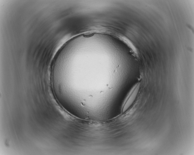 X0000097751099200803211646