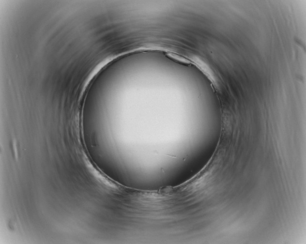 X0000097751100200803211646