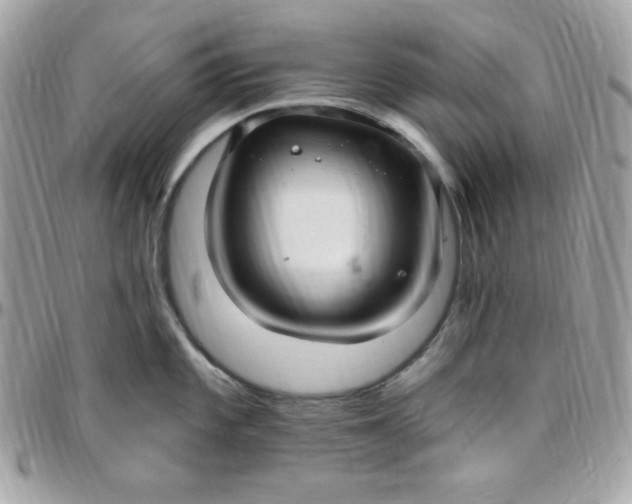 X0000097751101200803211646