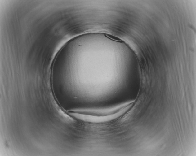 X0000097751102200803211646