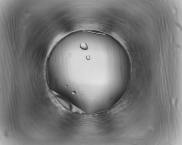 X0000097751104200803211646