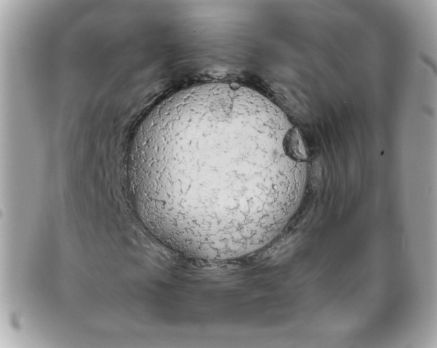 X0000097751105200803211645