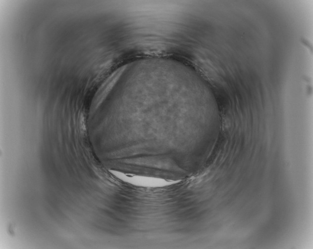 X0000097751106200803211645