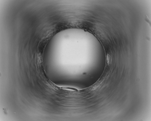 X0000097751107200803211646