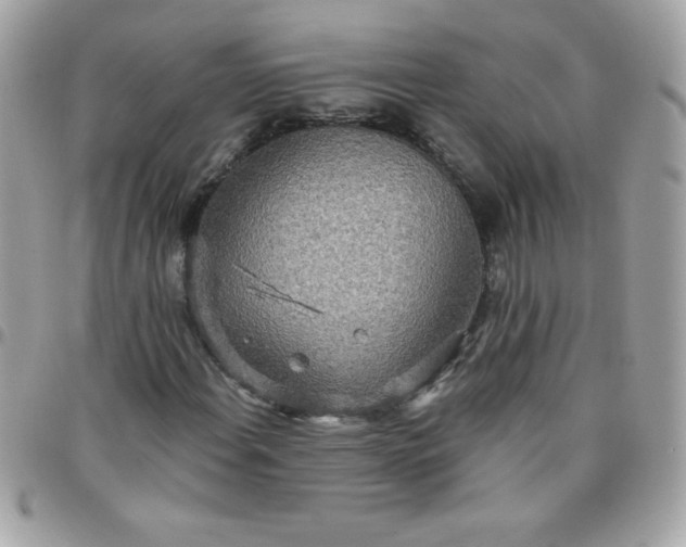 X0000097751108200803211646