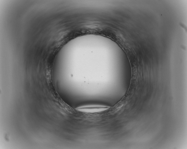 X0000097751109200803211646