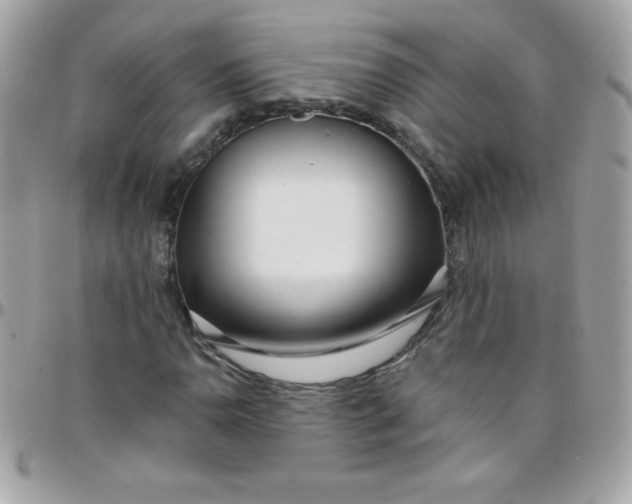 X0000097751110200803211646