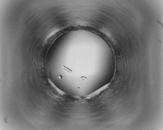 X0000097751112200803211646