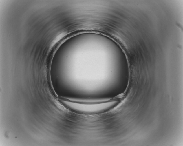 X0000097751114200803211646