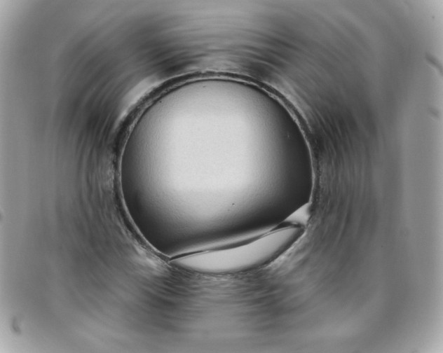 X0000097751115200803211646