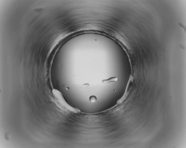 X0000097751116200803211646