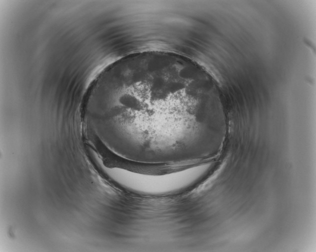 X0000097751117200803211646