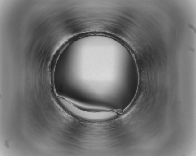 X0000097751118200803211646