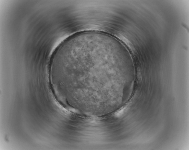 X0000097751120200803211646