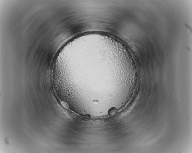 X0000097751121200803211646