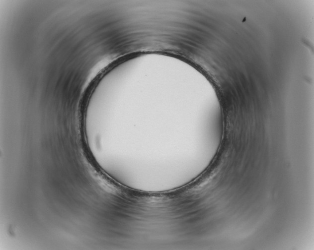 X0000097751122200803211646