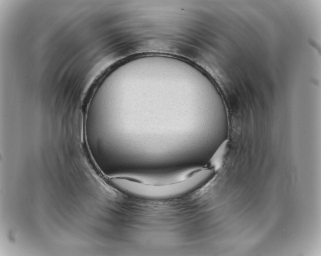 X0000097751123200803211646