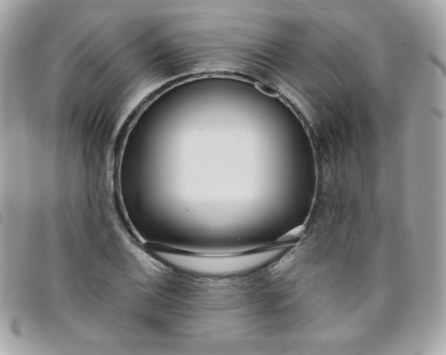 X0000097751124200803211646