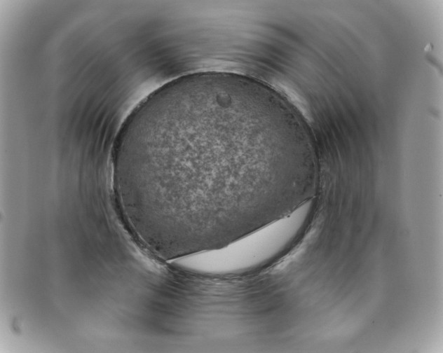 X0000097751125200803211646