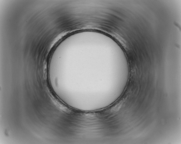 X0000097751126200803211646