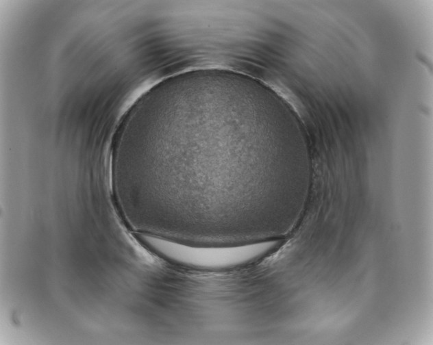 X0000097751127200803211646