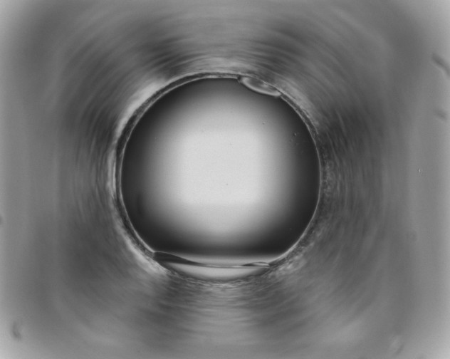 X0000097751128200803211646