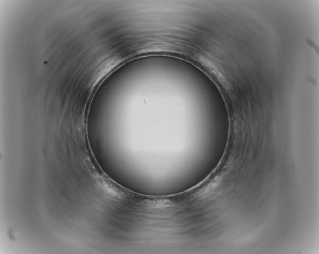 X0000097751129200803211646