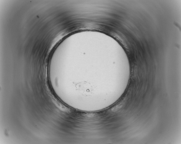 X0000097751130200803211646