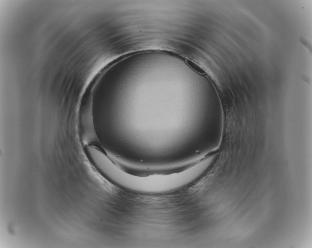 X0000097751132200803211646