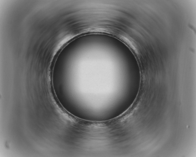 X0000097751133200803211646