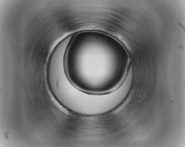 X0000097751134200803211646