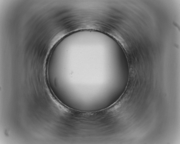 X0000097751135200803211646