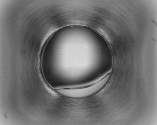 X0000097751136200803211646