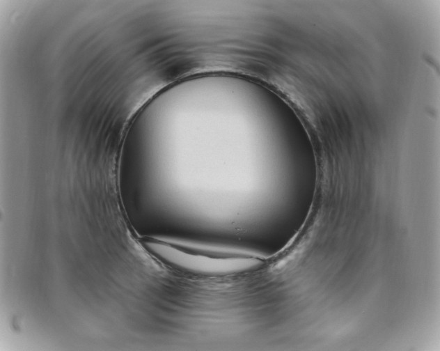 X0000097751137200803211646