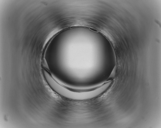 X0000097751138200803211646