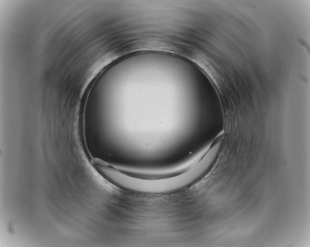 X0000097751139200803211646