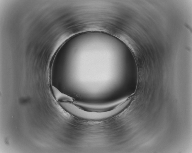 X0000097751140200803211646