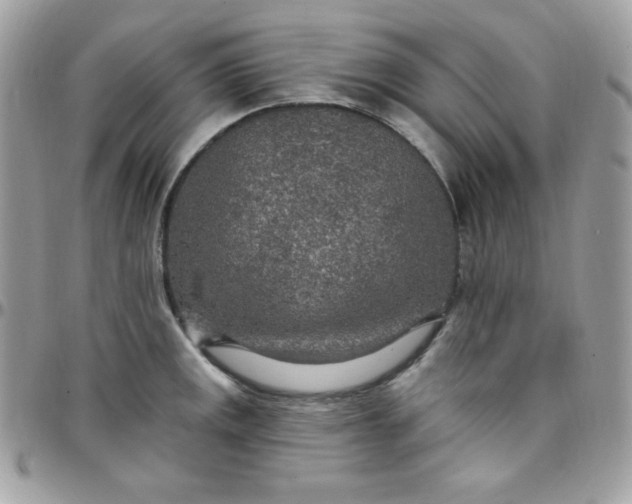 X0000097751141200803211646