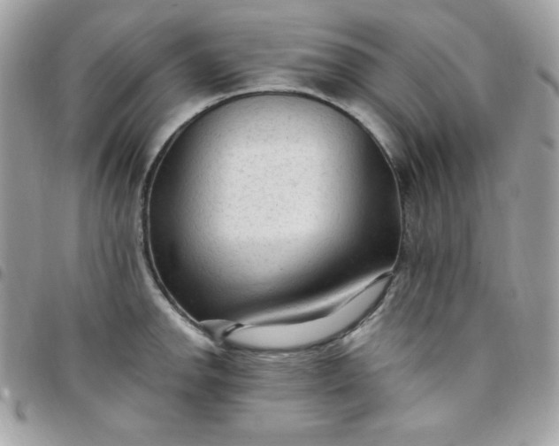 X0000097751142200803211646