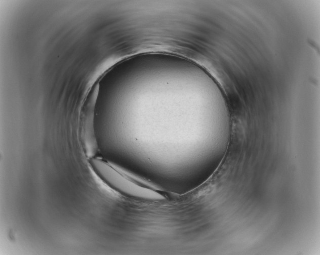 X0000097751143200803211646