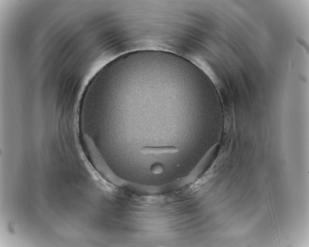 X0000097751144200803211646