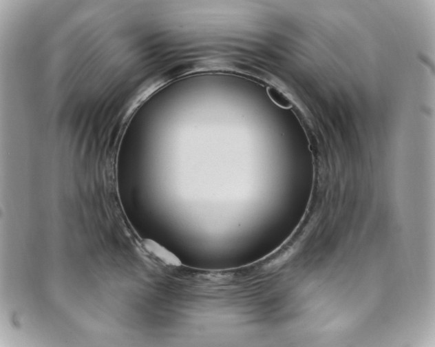 X0000097751145200803211646