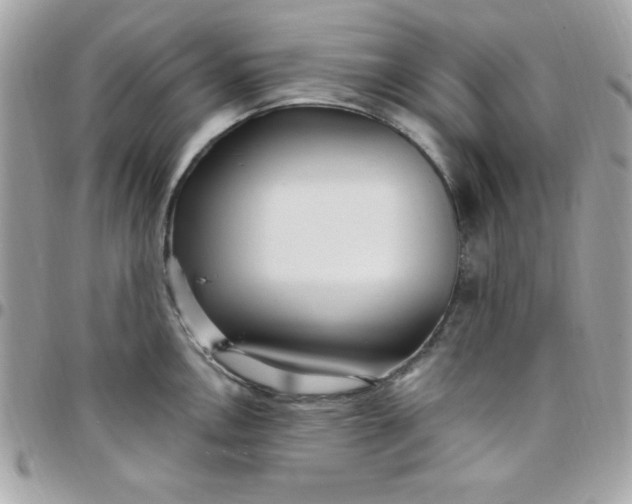 X0000097751146200803211646