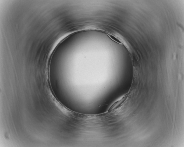 X0000097751148200803211646