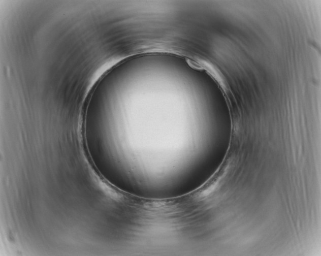 X0000097751149200803211646