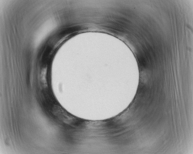 X0000097751150200803211646