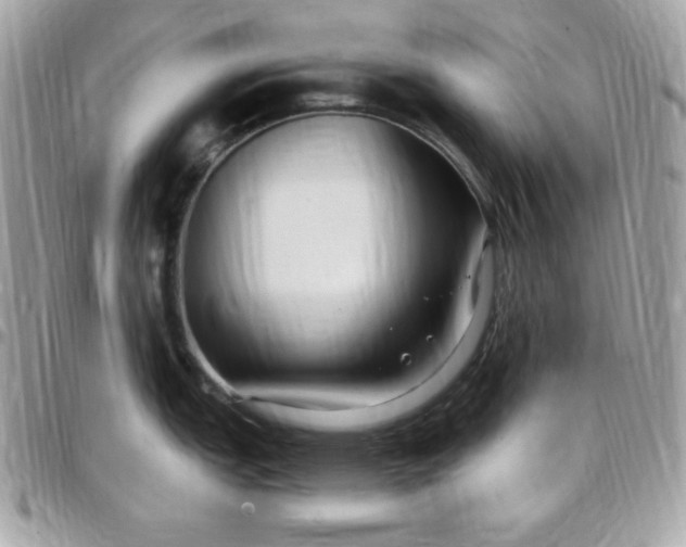 X0000097751151200803211646